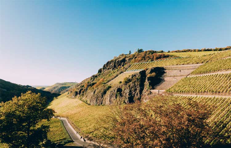 Gut-Hermannsberg---home